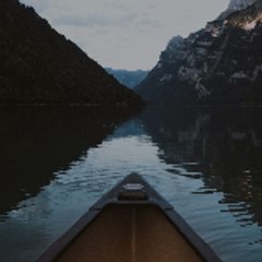 ReelBerry_ Story