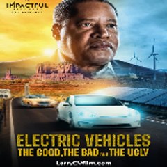 Electric Vehicles  The Good, the Bad and the Ugly