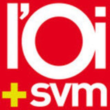 L'Ordinateur Individuel - SVM