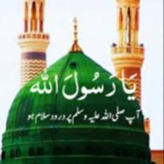 Munir Ahmad