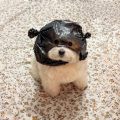 The Fluff Derp Network