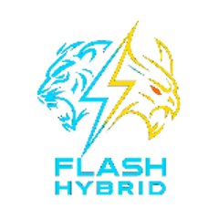 Flash Hybrid