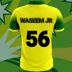 Waseem Alee