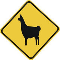 LittleLama