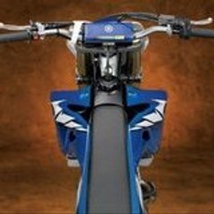 zupp38
