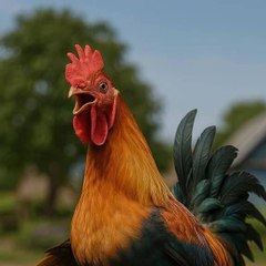 Chicken Pro