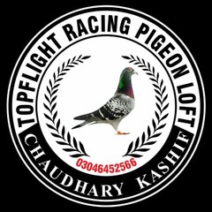 Topflight Racing Pigeon Loft