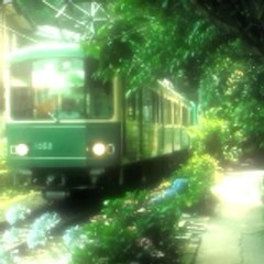 Pushparoy2011 Jasmine