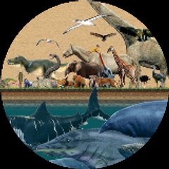 A.M.A Traders for Animals
