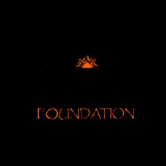 dev foundation