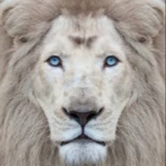 LÉGENDES ANIMALES