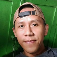 kelinci bumi