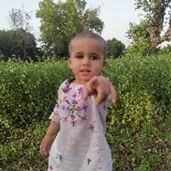 kashif aslam