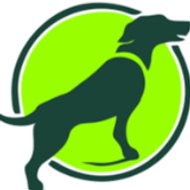 Cornerstonedog training