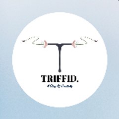 Triffidit Marketting Agency