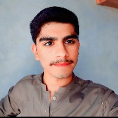 Saleem Khan