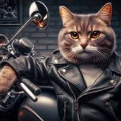 RoboCatAI