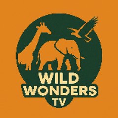 Wild Wonders TV