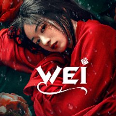 Wei Fansub Donghua