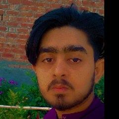 ali shah