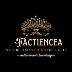 Factiencea
