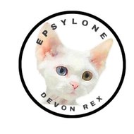 Chatterie d'Epsylone
