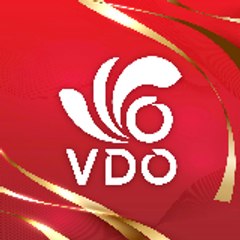 Công ty cổ phần VDO