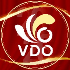 Công ty cổ phần VDO