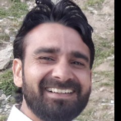 Waqar Mohsin