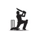 Cricket Zone