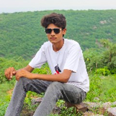 Sarkar