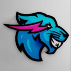 @MrBeast