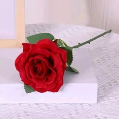 Hashir Ehsna
