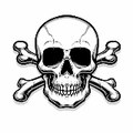 Crime and Accident Videos