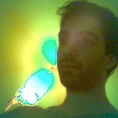 dmoussion