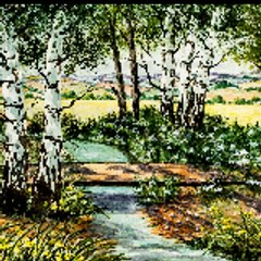 Art e Safar