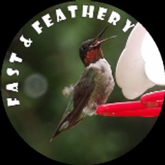 fastandfeathery