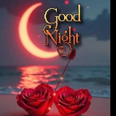 Good night