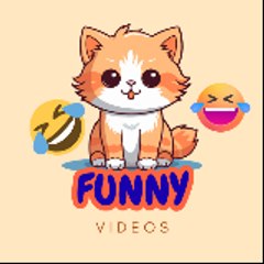 Information FUNNY2211