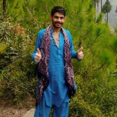 AmeeR Hamza