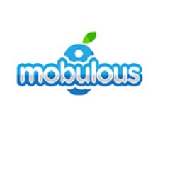 mobluloustech