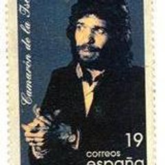 roy d'espagne