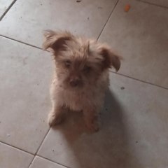 hildaperezargumedo.87