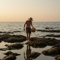 Beach Forager