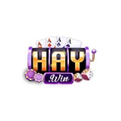 Haywin – Nhà cái uy tín hàng đầu