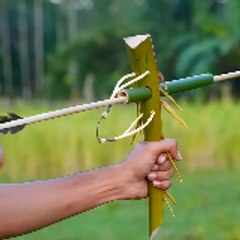Bambooidea