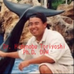 鳥吉英伸 HidenobuToriyoshi