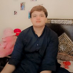 hassanmushtaq8