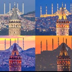 Fikir Adamı