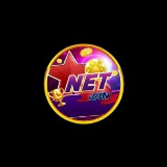 Netwin us com